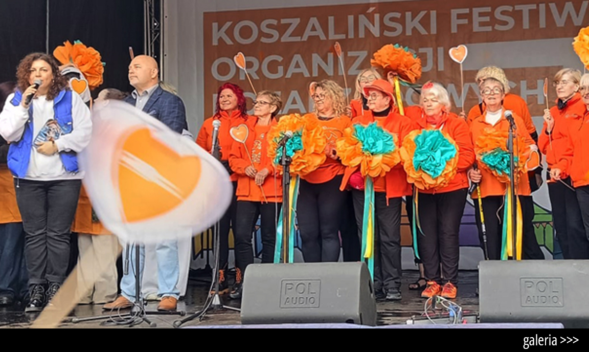 Zobacz galerię zdjęć